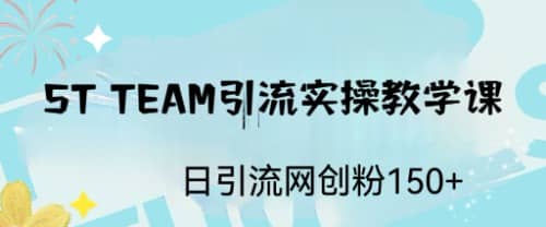 ST TEAM引流实操课，日引流网创粉100+-有量联盟