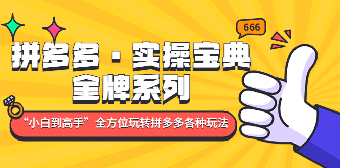 拼多多·实操宝典：金牌系列“小白到高手”带你全方位玩转拼多多各种玩法-有量联盟