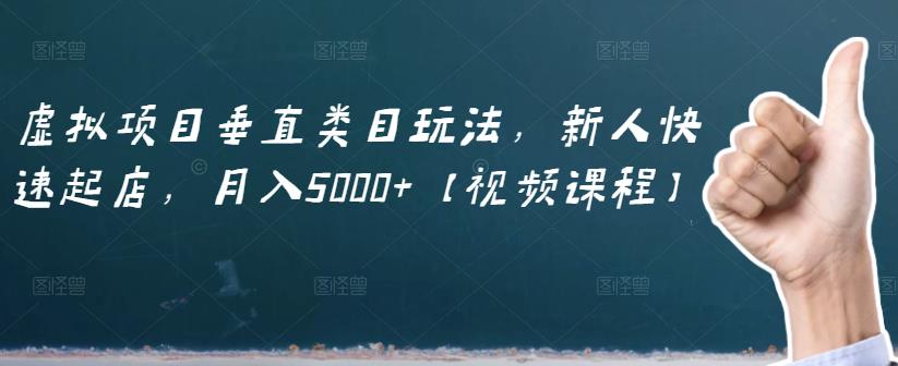 虚拟项目垂直类目玩法，新人快速起店，月入5000+【视频课程】-有量联盟