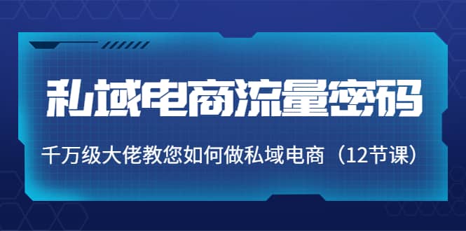 私域电商流量密码：千万级大佬教您如何做私域电商（12节课）-有量联盟