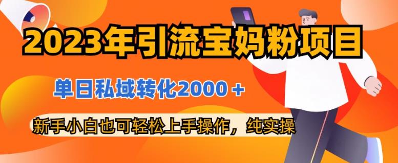 2023年引流宝妈粉项目，单日私域转化2000＋，新手小白也可轻松上手操作，纯实操-有量联盟