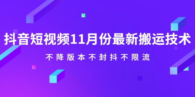 抖音短视频11月份最新搬运技术，不降版本不封抖不限流！【视频课程】-有量联盟