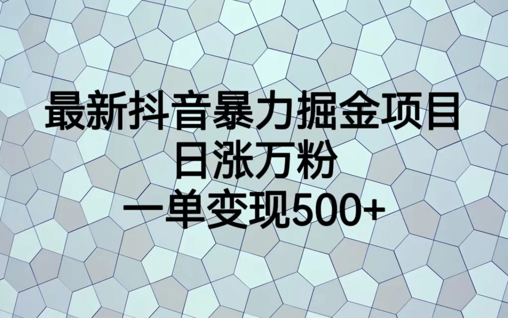 最火热的抖音暴力掘金项目，日涨万粉，多种变现方式，一单变现可达500+-有量联盟
