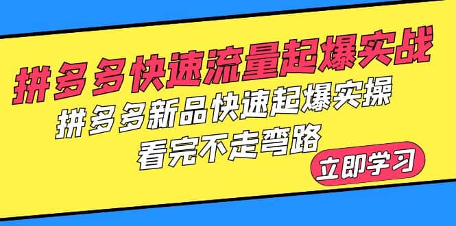 拼多多-快速流量起爆实战，拼多多新品快速起爆实操，看完不走弯路-有量联盟