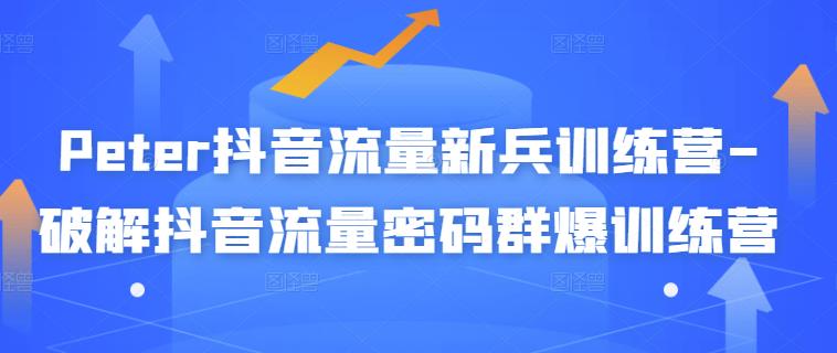 Peter抖音流量新兵训练营-破解抖音流量密码群爆训练营（新兵）-有量联盟