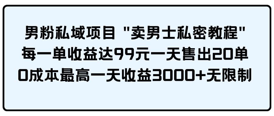 男粉私域项目 卖男士私密教程 每一单收益达99元一天售出20单-有量联盟