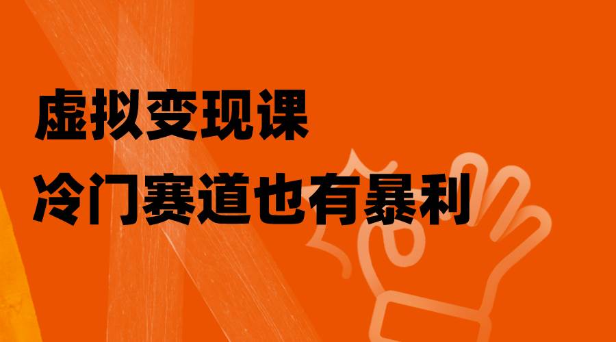 虚拟变现课，冷门赛道也有暴利，手把手教你玩转冷门私域-有量联盟