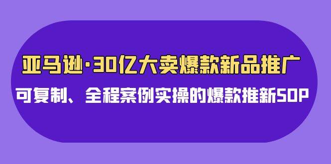 亚马逊30亿·大卖爆款新品推广，可复制、全程案例实操的爆款推新SOP-有量联盟