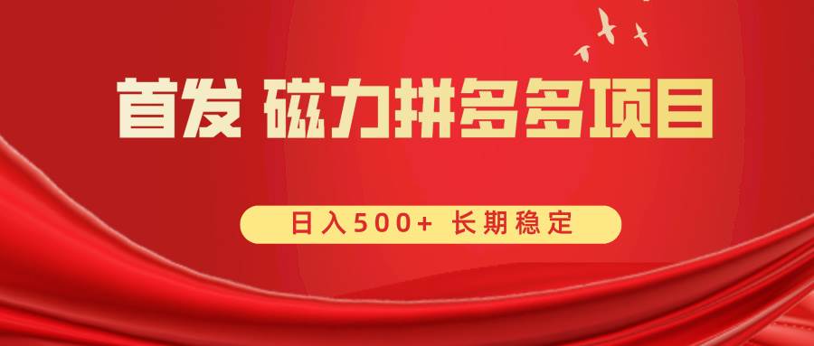 首发 磁力拼多多自撸  日入500+-有量联盟