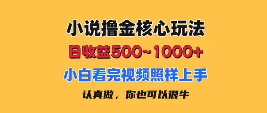 小说撸金核心玩法，日收益500-1000+，小白看完照样上手，0成本有手就行-有量联盟