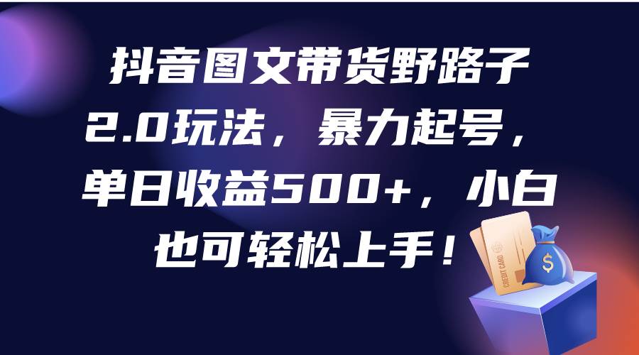 抖音图文带货野路子2.0玩法，暴力起号，单日收益500+，小白也可轻松上手！-有量联盟