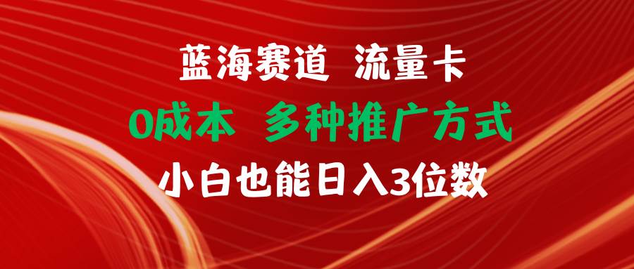 蓝海赛道 流量卡 0成本 小白也能日入三位数-有量联盟