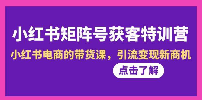 小红书-矩阵号获客特训营-第10期，小红书电商的带货课，引流变现新商机-有量联盟