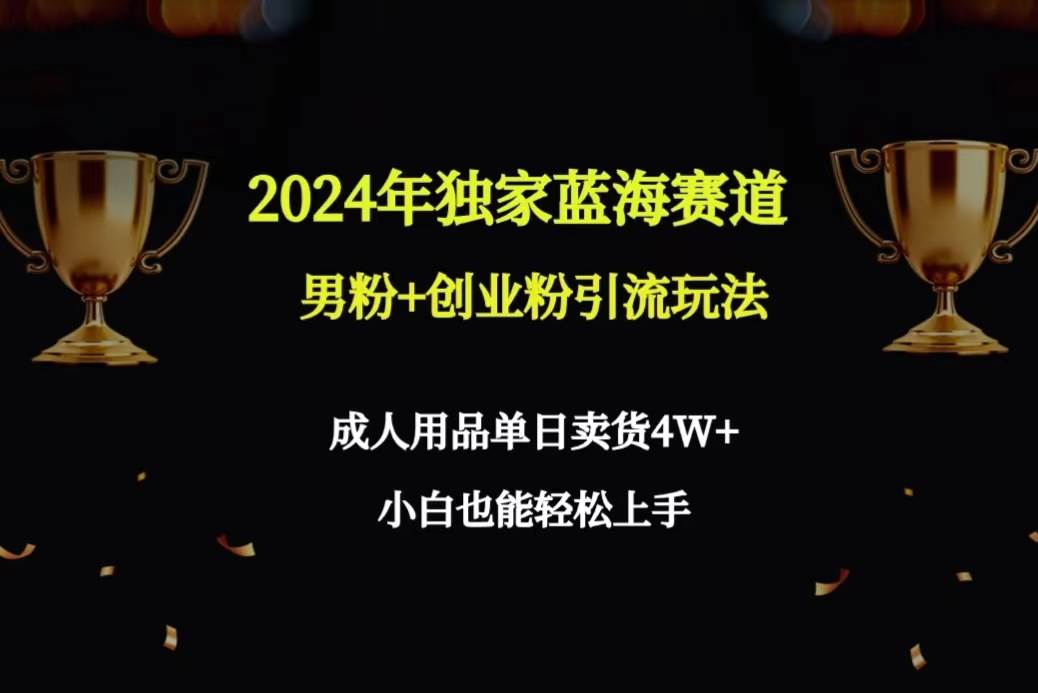 2024年独家蓝海赛道男粉+创业粉引流玩法，成人用品单日卖货4W+保姆教程-有量联盟