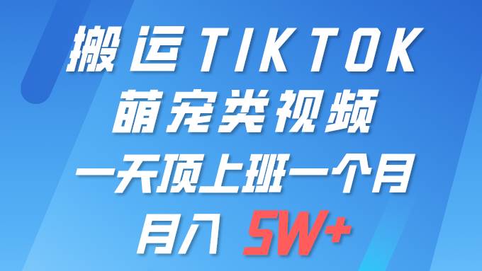 一键搬运TIKTOK萌宠类视频 一部手机即可操作 所有平台均可发布 轻松月入5W+-有量联盟