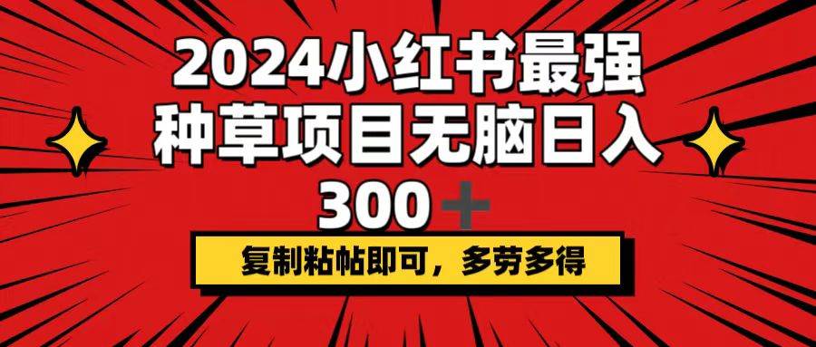 2024小红书最强种草项目，无脑日入300+，复制粘帖即可，多劳多得-有量联盟