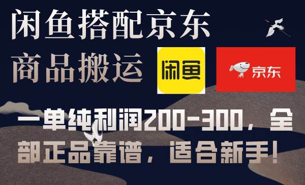 闲鱼搭配京东备份库搬运，一单纯利润200-300，全部正品靠谱，适合新手！-有量联盟