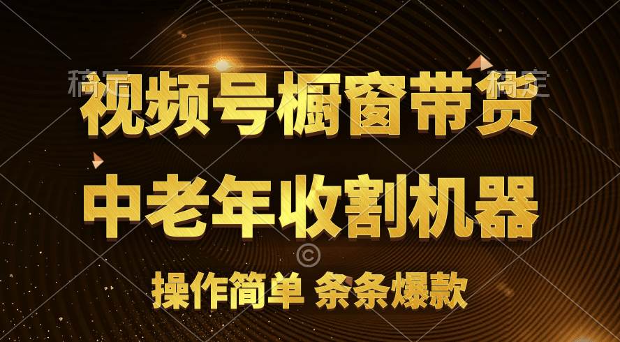 [你的孩子成功取得高位]视频号最火爆赛道，橱窗带货，流量分成计划，条…-有量联盟