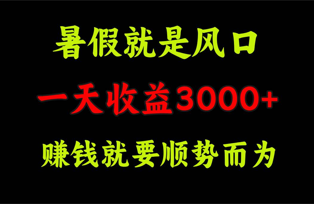 一天收益3000+ 赚钱就是顺势而为，暑假就是风口-有量联盟