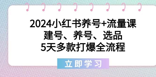 2024小红书养号+流量课：建号、养号、选品，5天多款打爆全流程-有量联盟