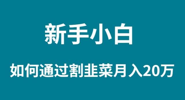 新手小白如何通过割韭菜月入 20W-有量联盟