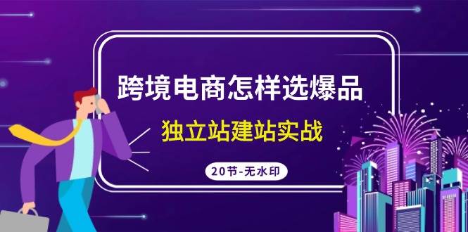 跨境电商怎样选爆品，独立站建站实战（20节高清无水印课）-有量联盟