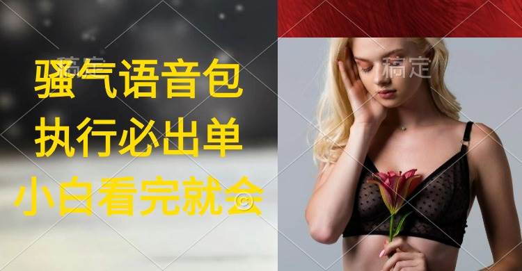 执行就出单，日入2000+，超火骚气语音包，小白看完课程就能马上实操-有量联盟