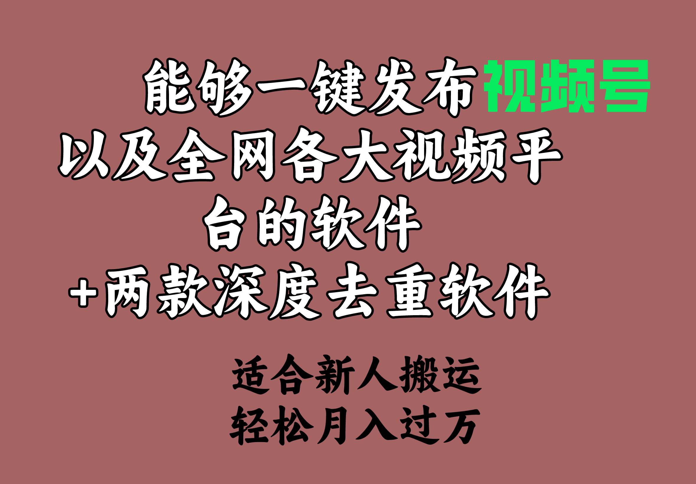 能够一键发布视频号以及全网各大视频平台的软件+两款深度去重软件 适合…-有量联盟