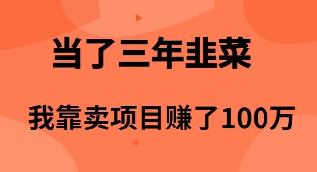 当了3年韭菜，我靠卖项目赚了100万-有量联盟