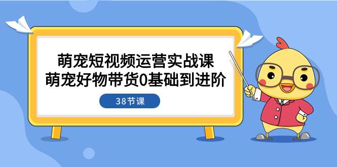 萌宠·短视频运营实战课：萌宠好物带货0基础到进阶（38节课）-有量联盟