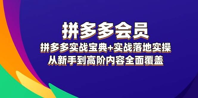 拼多多 会员，拼多多实战宝典+实战落地实操，从新手到高阶内容全面覆盖-有量联盟