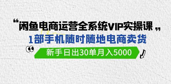 闲鱼电商运营全系统VIP实战课，1部手机随时随地卖货，新手日出30单月入5000-有量联盟