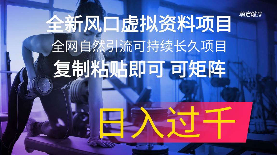 全新风口虚拟资料项目 全网自然引流可持续长久项目 复制粘贴即可可矩阵…-有量联盟