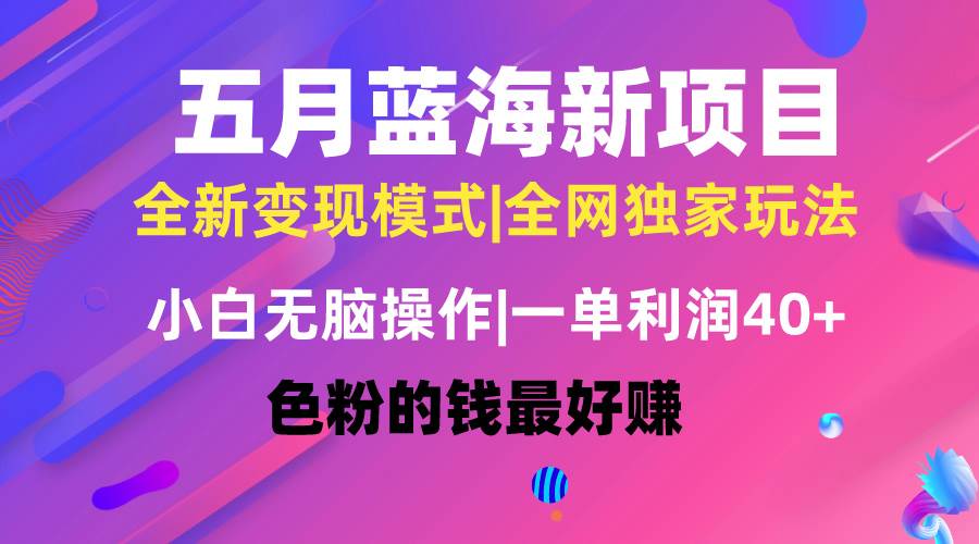 五月蓝海项目全新玩法，小白无脑操作，一天几分钟，矩阵操作，月入4万+-有量联盟