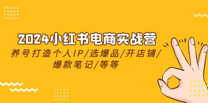 2024小红书电商实战营，养号打造IP/选爆品/开店铺/爆款笔记/等等（24节）-有量联盟