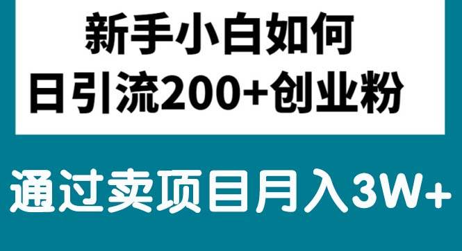 新手小白日引流200+创业粉,通过卖项目月入3W+-有量联盟