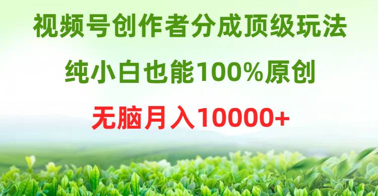 视频号创作者分成顶级玩法，纯小白也能100%原创，无脑月入10000+-有量联盟