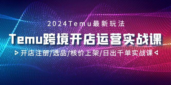 2024Temu跨境开店运营实战课，开店注册/选品/核价上架/日出千单实战课-有量联盟