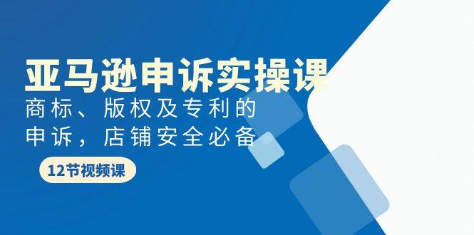 亚马逊-申诉实战课，商标、版权及专利的申诉，店铺安全必备-有量联盟