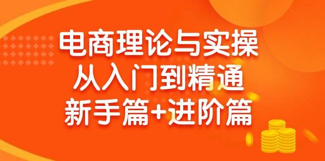 电商理论与实操从入门到精通 新手篇+进阶篇-有量联盟