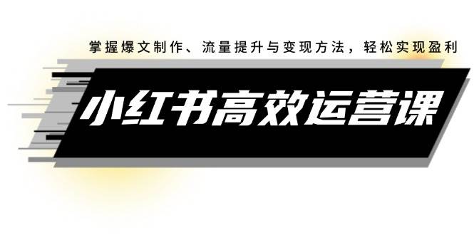 小红书高效运营课：掌握爆文制作、流量提升与变现方法，轻松实现盈利-有量联盟