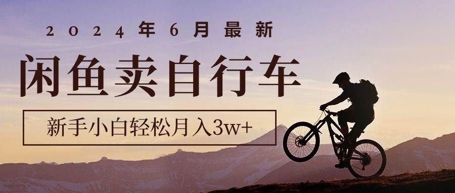 2024年6月最新闲鱼卖自行车，新手小白轻松月入3w+项目-有量联盟