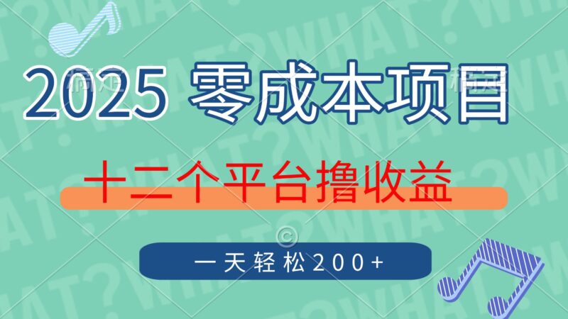 2025年零成本项目,十二个平台撸收益,单号一天轻松200+-有量联盟