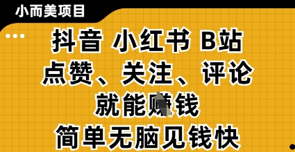 小而美的项目，抖音小红书B站视频点赞、关注、评论就能挣钱，简单无脑立见收益，妥妥的零撸项目【揭秘】-有量联盟